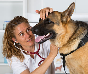 Diagnostic analysis