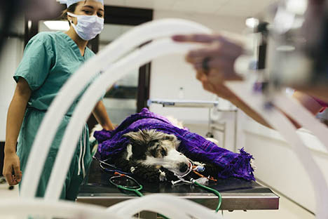 Anesthesia: practice of medicine